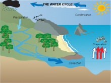 Vaishnavi's Water Cycle