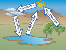Haris Water Cycle