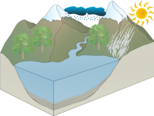 Fin's Water Cycle