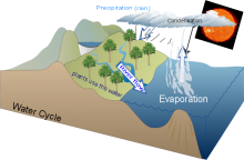 Water Cycle (Kent)