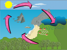 Ejoy's Water Cycle