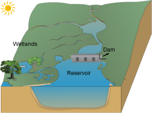 Antonio Donald's dam, reservoir and wetlands