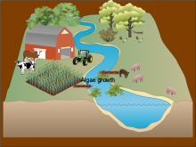 Nutrients & their effects on waterways