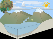 The water cycle-Shannon Lanza