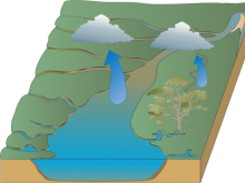 The Amazing Water Cycle By Gary Wang (TAWCBGW)