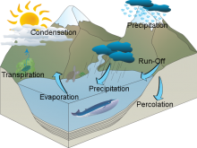 Kevin's Water Cycle