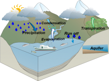 Water Cycle-Quoc