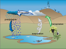 Martin's_water_cycle_diagram