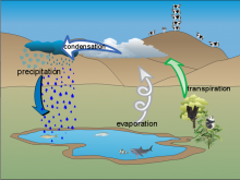 AAMartin's_water_cycle_diagram