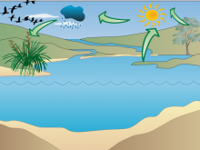 water cycle demo