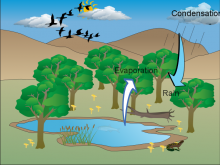 Chloe Water Cycle Chloe Water Cycle