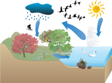 Netanya's Water Cycle Netanya's Water Cycle