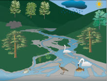 Antonio's Mountain river ecosystem Antonio's Mountain river ecosystem