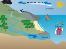 Vaishnavi's Water Cycle Vaishnavi's Water Cycle