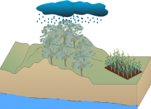 The Water Table-Positive The Water Table-Positive