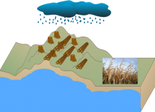 The Water Table-Negative The Water Table-Negative