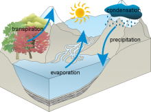 Ella's Water Cycle Ella's Water Cycle