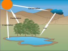 The rain cycle wennanW