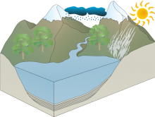 Fin's Water Cycle Fin's Water Cycle