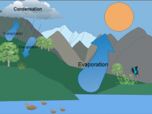 Angela's Water Cycle