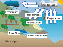 Andrew Water Cycle Andrew Water Cycle
