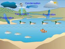 Prasanth's Water Cycle Prasanth's Water Cycle