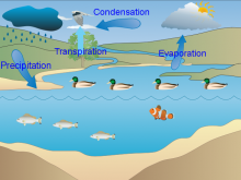 Prasanth's Water Cycle