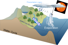 Water Cycle (Kent) Water Cycle (Kent)