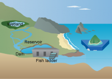 Netanya's Reservoir, Dam and Wetland Netanya's Reservoir, Dam and Wetland
