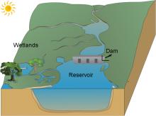 Antonio Donald's dam, reservoir and wetlands Antonio Donald's dam, reservoir and wetlands