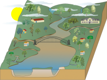 Rachel's Water Cycle Rachel's Water Cycle