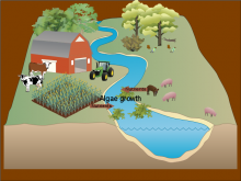 Nutrients & their effects on waterways Nutrients & their effects on waterways