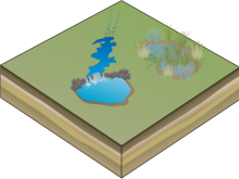 Annabelle's dam and swamp Annabelle's dam and swamp