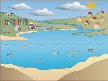 Yassamin's Water Cycle