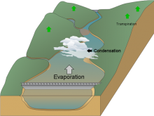 Laura's water cycle