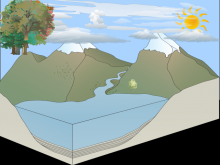 The water cycle-Shannon Lanza The water cycle-Shannon Lanza