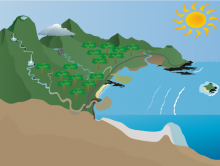 Water cycle by Emi Callaway Water cycle by Emi Callaway