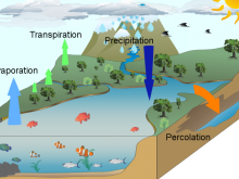 Water Cycle - Jeffrey L Lyneham High