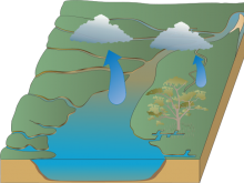 The Amazing Water Cycle By Gary Wang (TAWCBGW) The Amazing Water Cycle By Gary Wang (TAWCBGW)