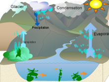 April Telfer water cycle