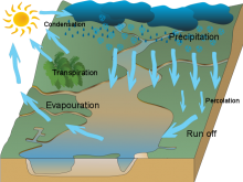 Freya's watercycle - Lyneham High