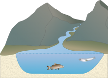 Stanley Li Water Cycle