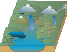 Gary Wang Water Cycle Save Number Two! (GWWCSNT) Gary Wang Water Cycle Save Number Two! (GWWCSNT)