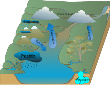 The Amazing Water Cycle Made By Gary Save Number Three (TAWCMBGSNT) The Amazing Water Cycle Made By Gary Save Number Three (TAWCMBGSNT)
