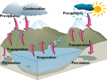 Imogen T Water Cycle Lyneham High FINAL COPY