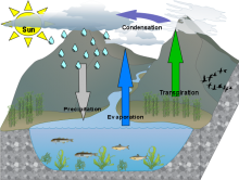 Nada's water cycle diagram_ Nada's water cycle diagram_