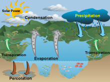 Elinor F Water Cycle Final Elinor F Water Cycle Final