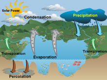 Elinor F Water Cycle Final