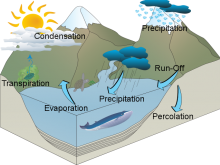 Kevin's Water Cycle Kevin's Water Cycle