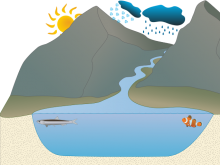 Water Cycle - Stanley Water Cycle - Stanley